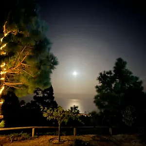 https://finca-la-baifa.in-canary-islands.com